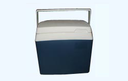 ����鿴��