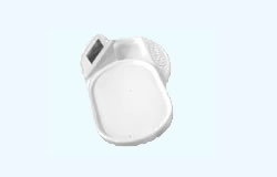 ����鿴��